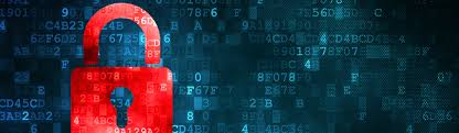 Alliance Health Group privacy policy Tampa FL